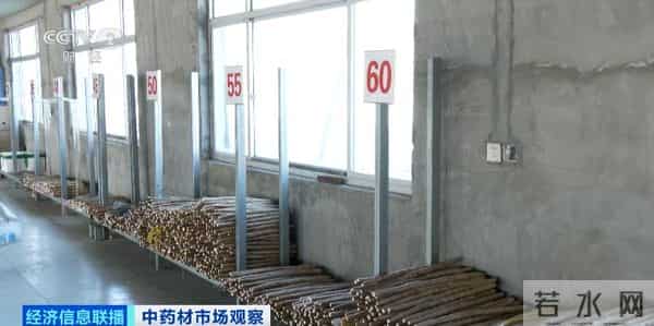 还没采摘，就被订购一空！这些产品成香饽饽！千亿级风口，来了