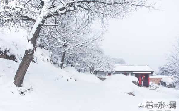 “白天冬至雪堵门，晚上冬至暖烘烘”，今年冬至几点？有啥说法？
