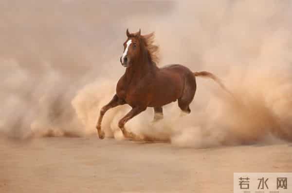 明年是马年，老人说“单春赤马劫，3人要穿红”，这3人是什么人？