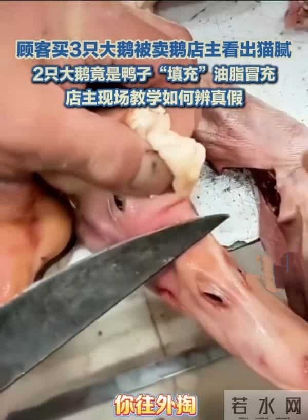 警惕！你买的“大鹅”可能不是鹅！揭秘市场新型“冒牌货”陷阱！