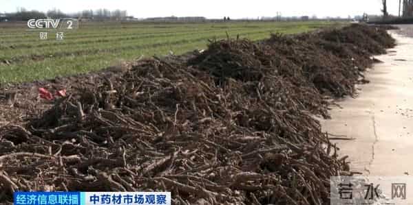 还没采摘，就被订购一空！这些产品成香饽饽！千亿级风口，来了