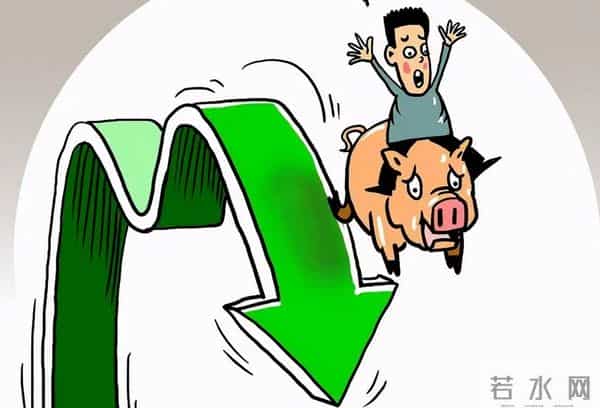 33.3亿生猪补贴遭质疑？50%省份拿不到钱，政策组合拳加速去产能