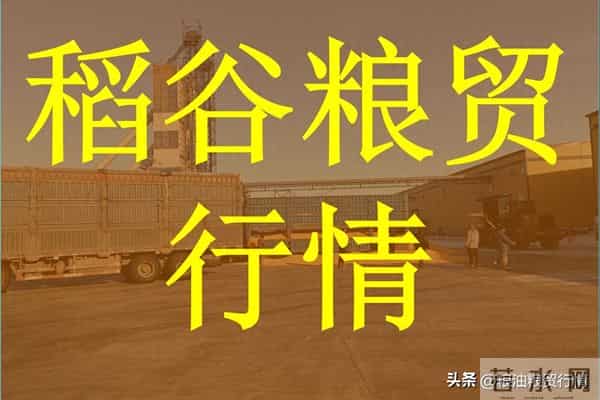 2025年12月9日江苏、安徽稻谷市场行情：粳稻稳中微涨