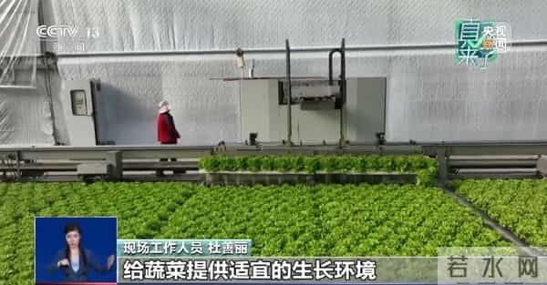 网传“反季节蔬菜吃了等于白吃”是真的吗？专家辟谣