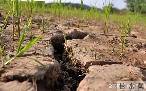 “不怕十月廿三落，就怕十月廿三晴”，明日十月廿三，有啥说法？农谚咋说