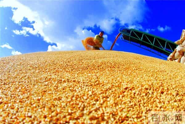 840.7亿斤！内蒙古粮食产量跃居全国第五