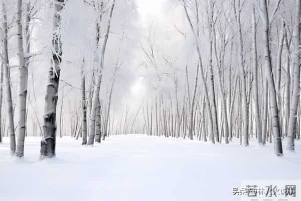 “大雪多不多，看十月廿一”，今日十月廿一，今冬是冷冬还是暖冬