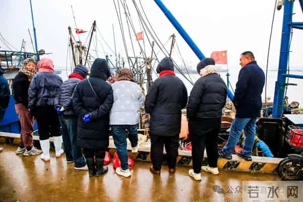 寒潮将至,渔港沸腾!今早,日照这里“鲜”货扎堆!这种鱼按筐买,4元一斤!