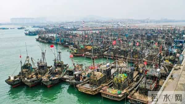 寒潮将至,渔港沸腾!今早,日照这里“鲜”货扎堆!这种鱼按筐买,4元一斤!