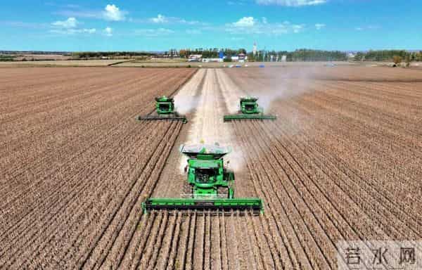 再超1.4万亿斤！端牢中国饭碗有信心有底气