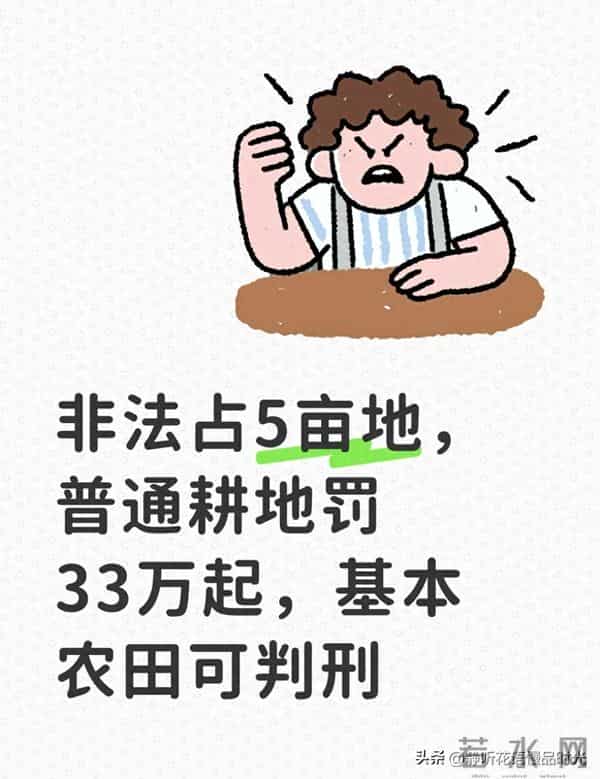 非法占5亩地，普通耕地罚33万起，基本农田可判刑