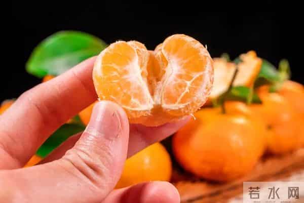 今冬砂糖橘：价涨仍成秋冬"顶流"