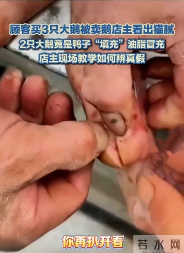 警惕！你买的“大鹅”可能不是鹅！揭秘市场新型“冒牌货”陷阱！