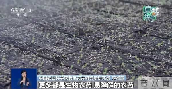 网传“反季节蔬菜吃了等于白吃”是真的吗？专家辟谣