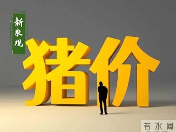 7连涨！年前猪价就看这最后一哆嗦了！