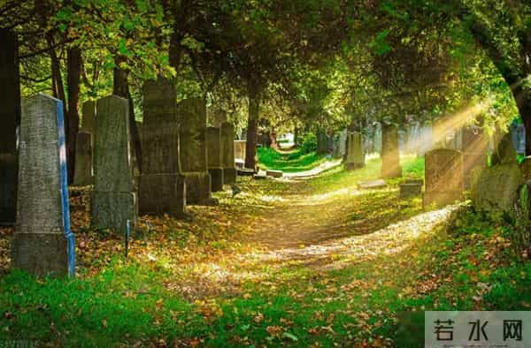 老话说："坟头有三象，子孙多富贵"三象指的是什么？有依据吗？