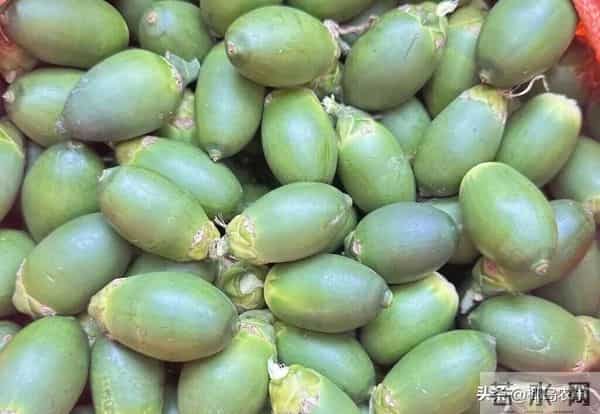 海南槟榔收购价格行情参考（2025年12月13日）