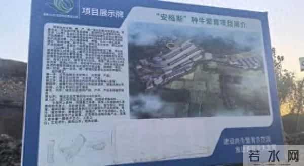 4500万养牛场藏猫腻：两年不见一头牛，天天拉走百吨矿石
