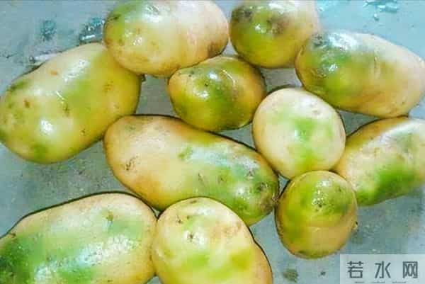 冬天这5种菜千万别买！农残超标伤肝肾，很多人天天吃