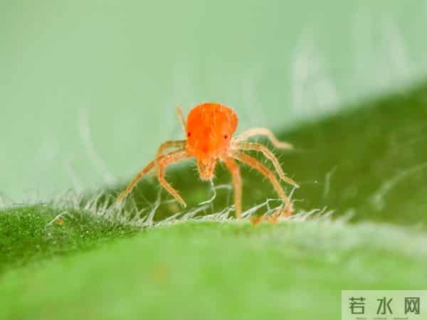 今日十月廿三，老话“十月廿三晴，农夫要发愁”，晴天有啥预兆？