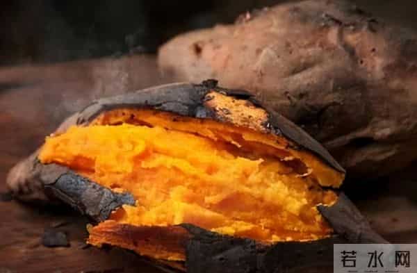 中国哪里的红薯最好吃？认准这3个品种买，软糯香甜，细腻无纤维