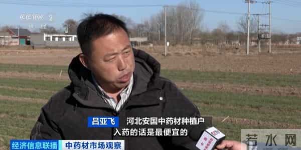 还没采摘，就被订购一空！这些产品成香饽饽！千亿级风口，来了