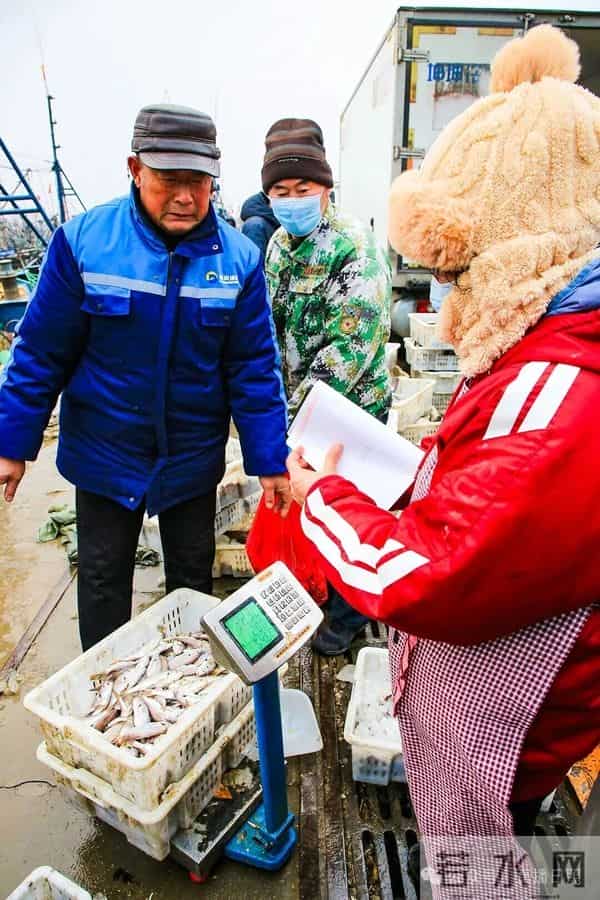 寒潮将至,渔港沸腾!今早,日照这里“鲜”货扎堆!这种鱼按筐买,4元一斤!