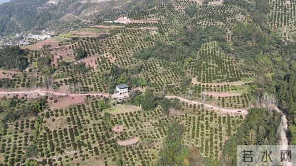 “路通了,心安了!” 云阳“双路”并进惠民生