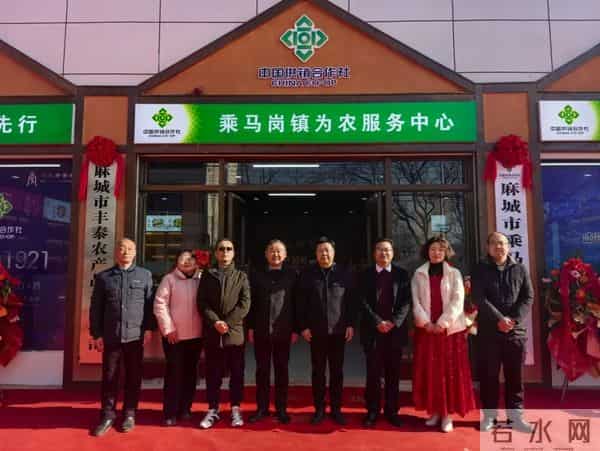 麻城这2家乡镇单位,成为湖北省示范单位