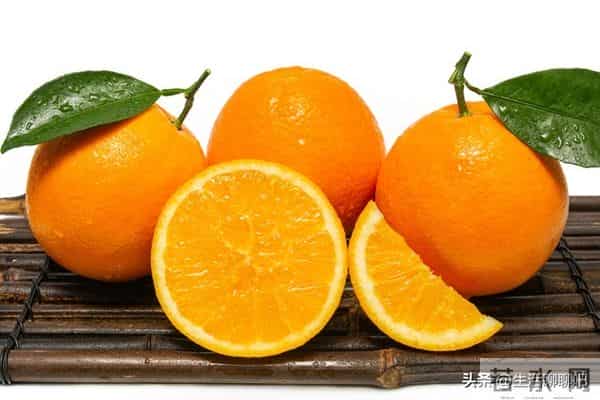 2025年脐橙市场走向何方?各产区最新市场收购行情