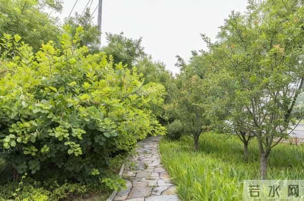 房山这四个村打造市级花园村庄样板！看看有您家吗？