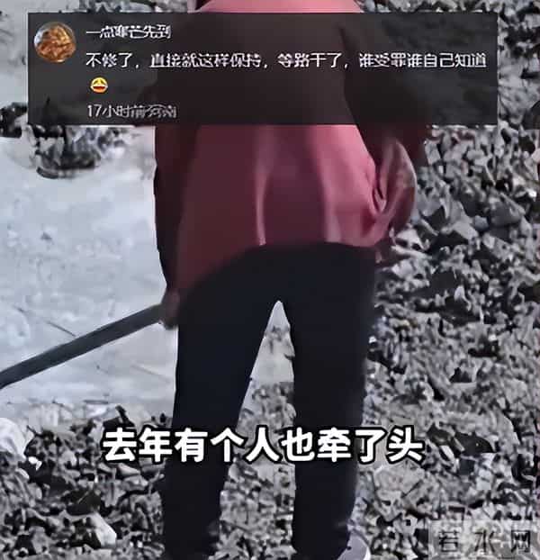 老太破坏水泥路后续:原因曝光,老太很委屈,村干部曝更多隐情