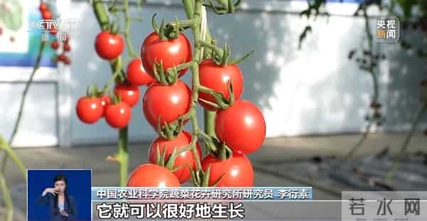 网传“反季节蔬菜吃了等于白吃”是真的吗？专家辟谣
