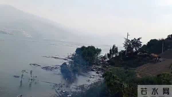 白鹤滩蓄水后金沙江边水柴成堆，村民巧手捞取变废为宝