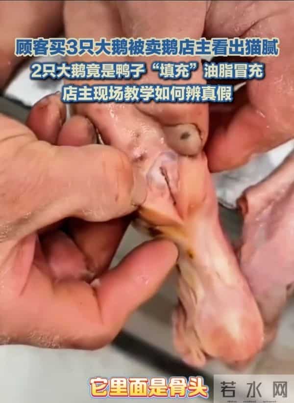 警惕！你买的“大鹅”可能不是鹅！揭秘市场新型“冒牌货”陷阱！