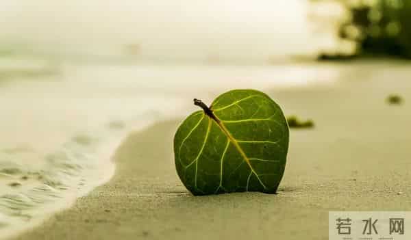 明目张胆地“作恶”,谁给的底气这么嚣张!