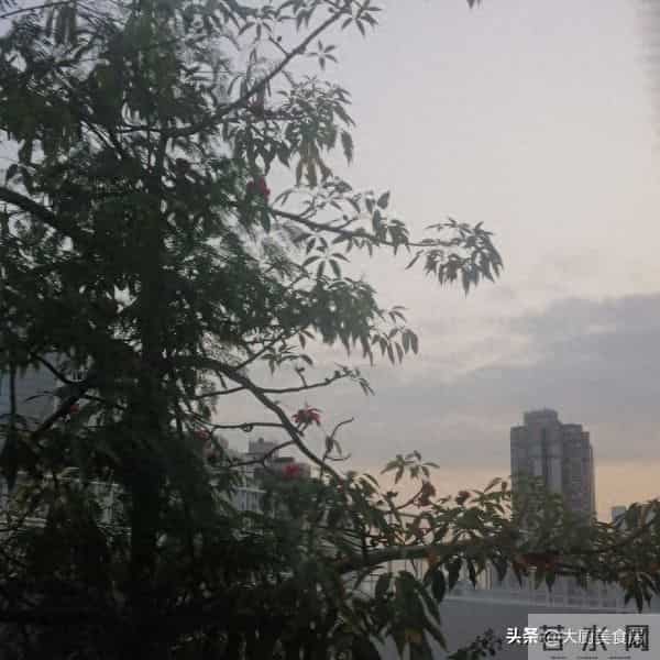 明日十月廿二,无论多忙,记得:1不走、2不回、3不问、4要搬