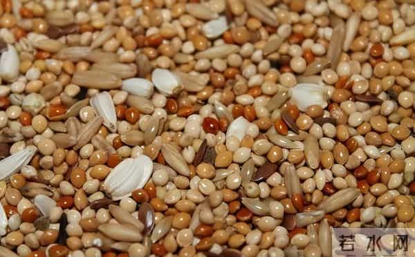 垄断中国90%粮食种子市场！美国若发动粮食战争，我们还有饭吃吗