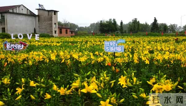 江西人用真金白银堆出的全国第一，证明江西是个“民富”省份