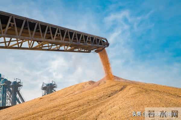 压力落地,东北上涨之势被打断