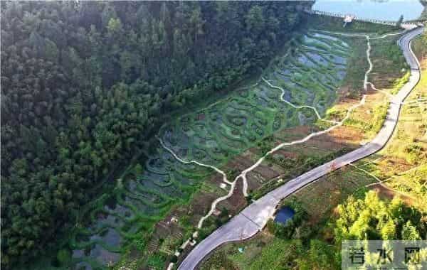 喜报！梁平一项目获国际奖项