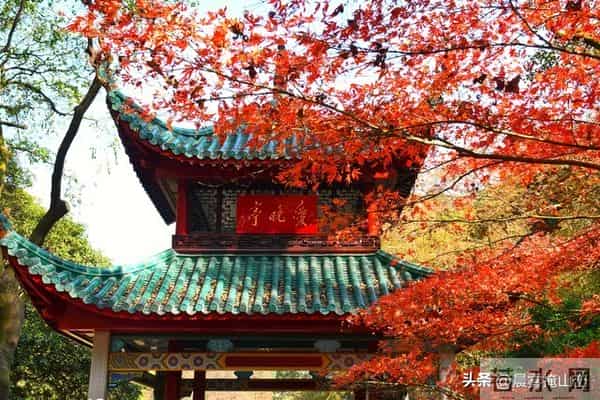 请想好，现在当村书记，就是坐在了火上烤