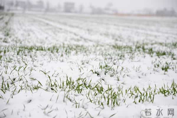 今日十月廿三，老话“十月廿三晴，农夫要发愁”，晴天有啥预兆？