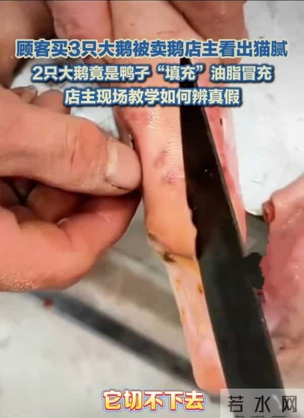 警惕！你买的“大鹅”可能不是鹅！揭秘市场新型“冒牌货”陷阱！