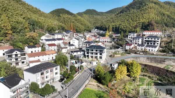 富阳这个网红村，游客车辆从山脚排到村里！