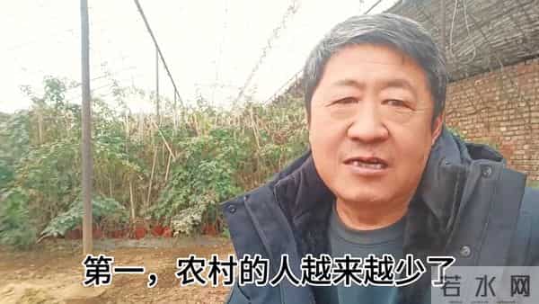 如果不出去打工，只在农村挣钱，到底难不难？