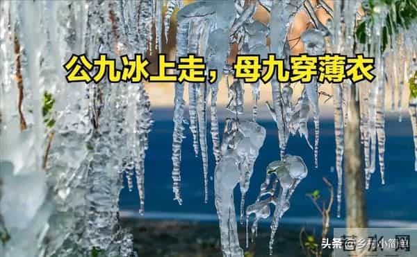 “公九冰上走，母九穿薄衣”，今年数九天是公是母？冬天很冷吗？