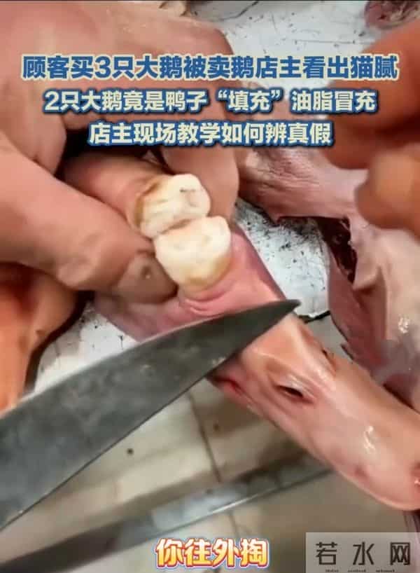 警惕！你买的“大鹅”可能不是鹅！揭秘市场新型“冒牌货”陷阱！