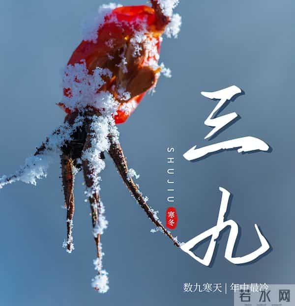 十八年一遇！三九天全在冬月，老祖宗留下的农谚今年还准吗？