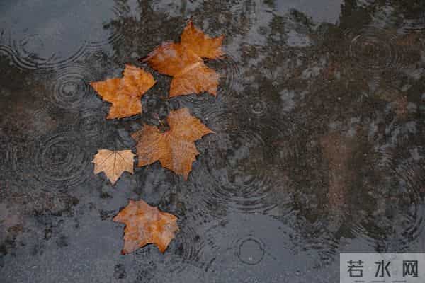 21号冬至，“一年雨水看冬至”，冬至下雨有啥说法？答案来了